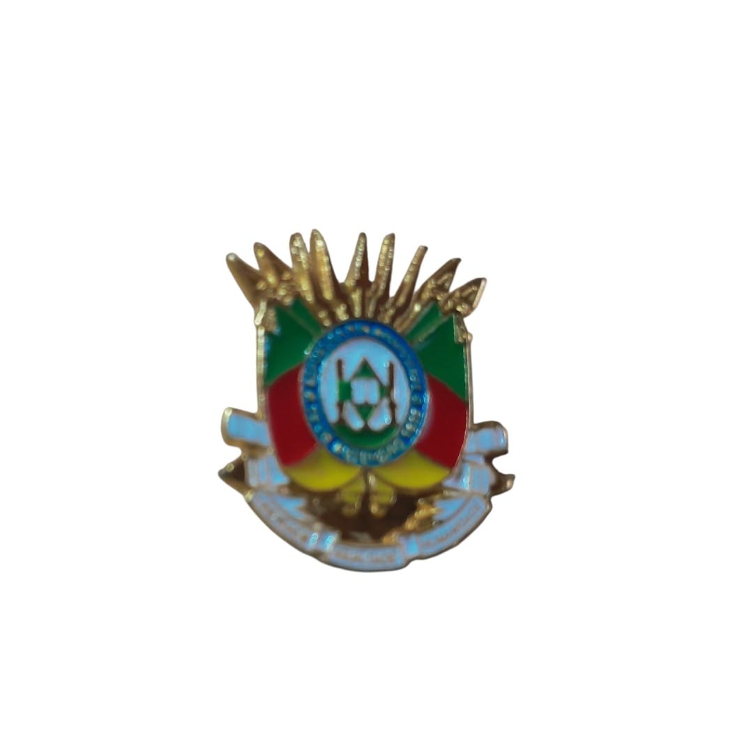 Pin de Metal Brasão do Rio Grande do Sul