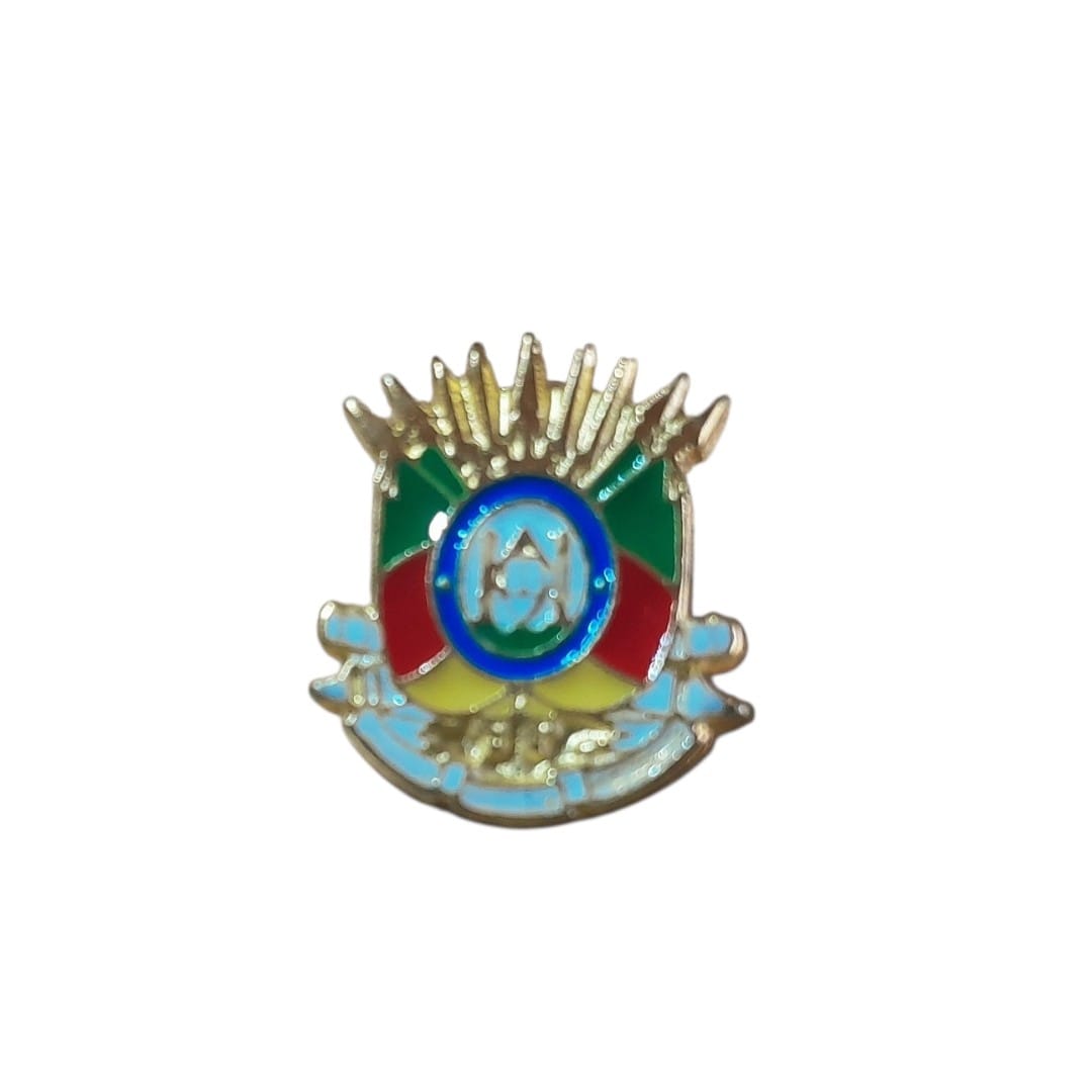 Pin de Metal Brasão do Rio Grande do Sul - Imagem 3